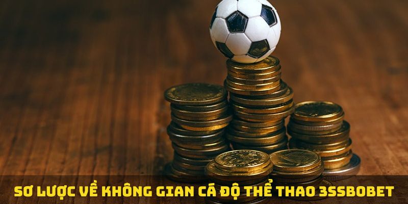 Sơ lược về không gian cá độ thể thao 3ssbobet