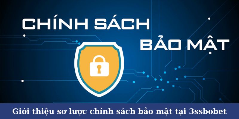 Giới thiệu sơ lược chính sách bảo mật tại 3ssbobet