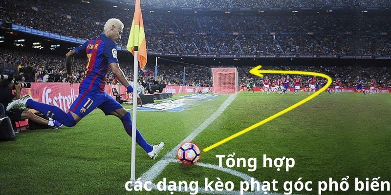 Các dạng kèo phạt góc là gì?