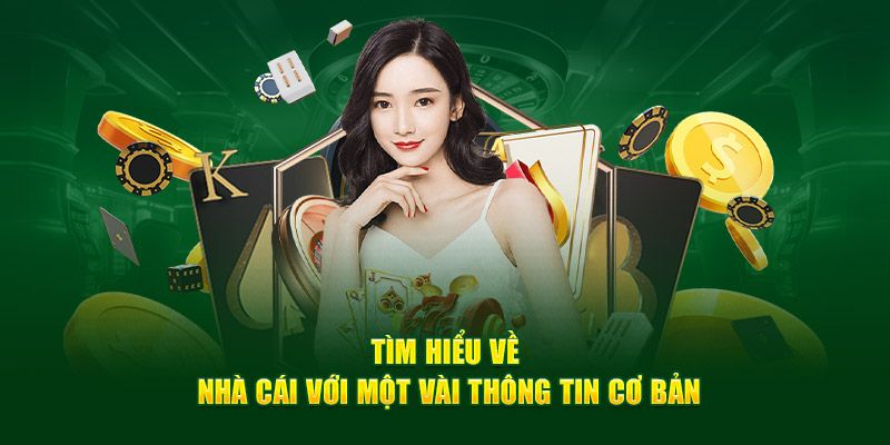 Tổng quan giới thiệu 3ssbobet